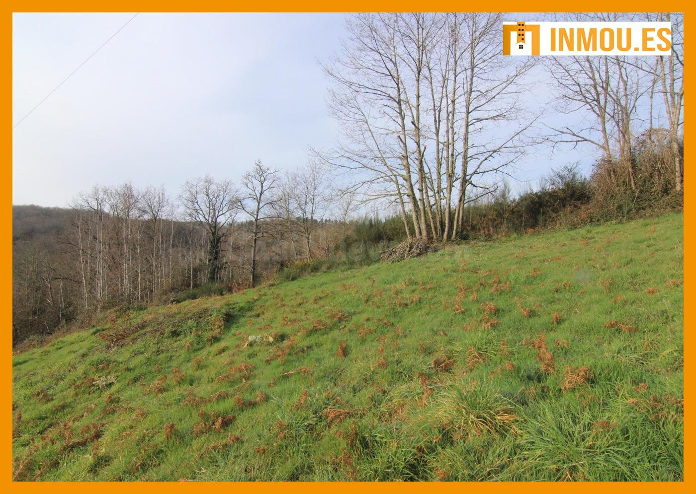 Se vende terreno urbanizable en Rial, Celanova. - foto 5