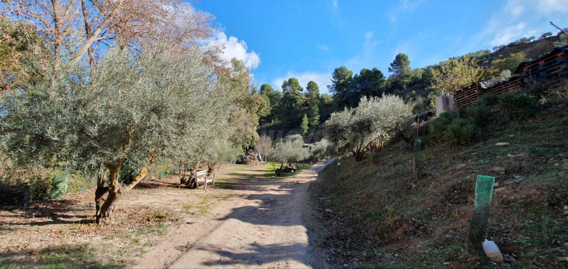 FINCA RÚSTICA CON CASA EN EL BURGO - foto 2