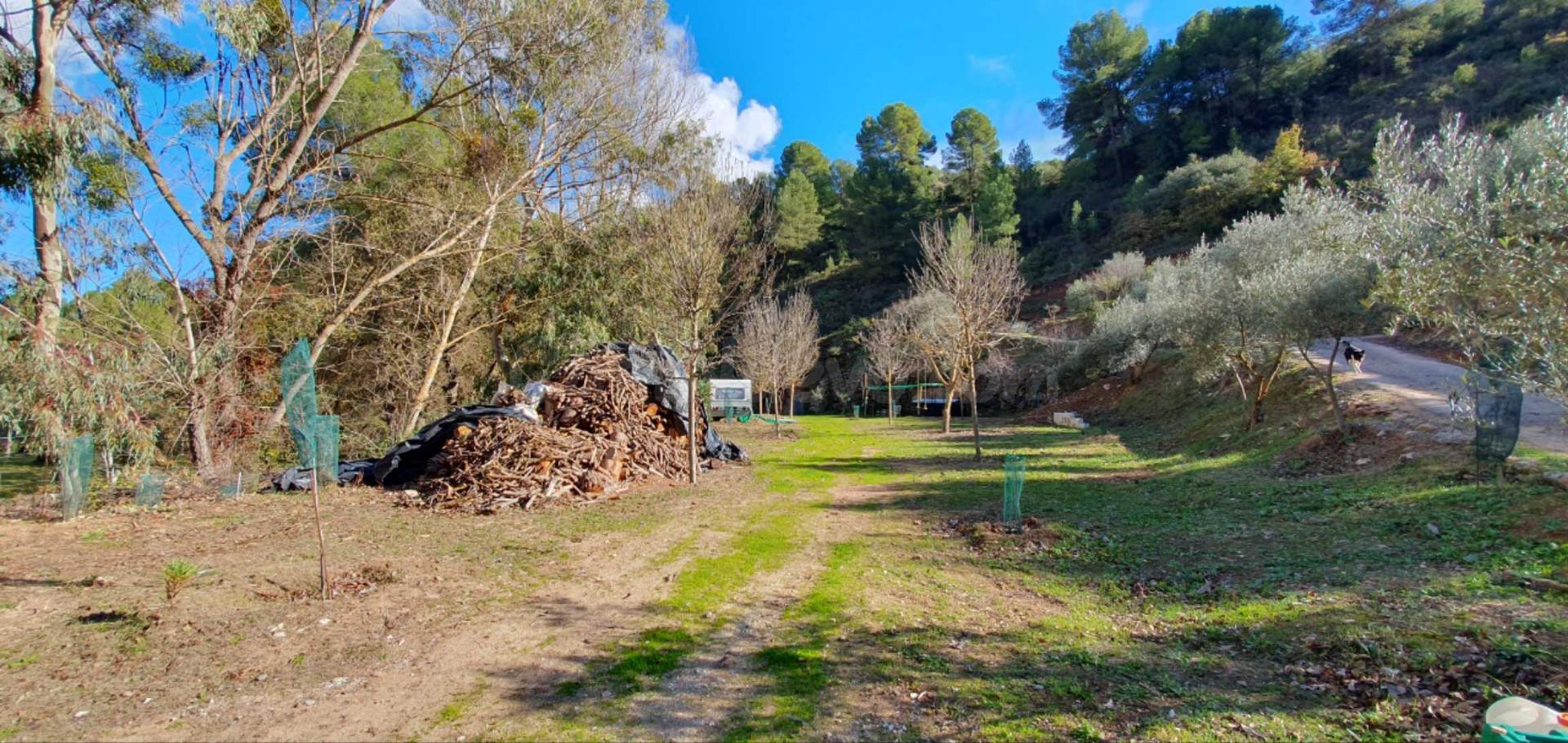 FINCA RÚSTICA CON CASA EN EL BURGO - foto 3