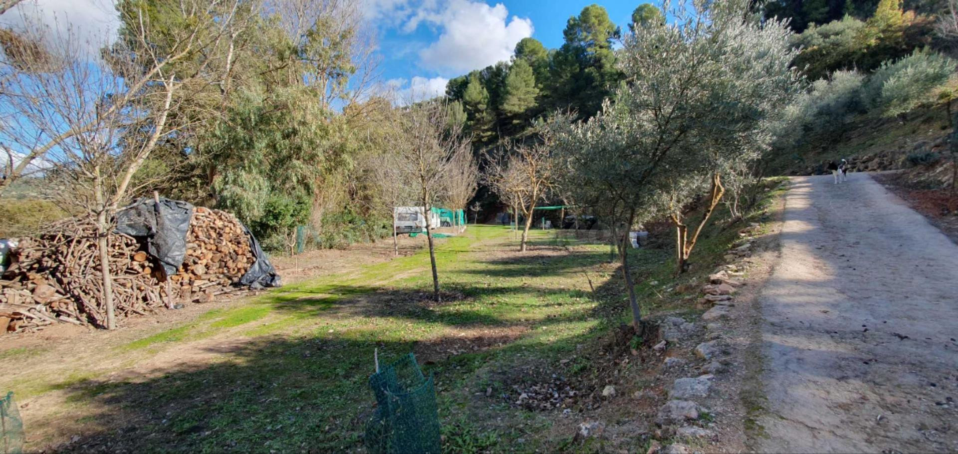 FINCA RÚSTICA CON CASA EN EL BURGO - foto 4