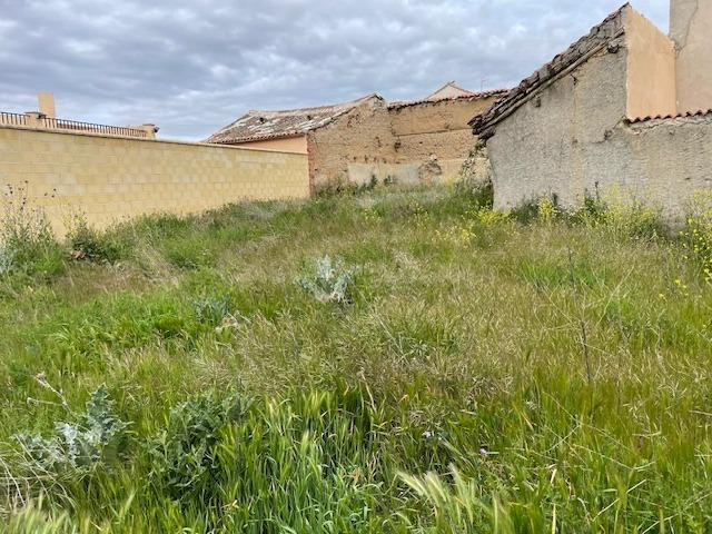 PARCELA URBANA EN BERCIAL - foto 2