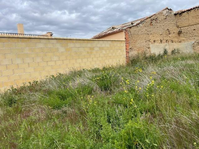 PARCELA URBANA EN BERCIAL - foto 4