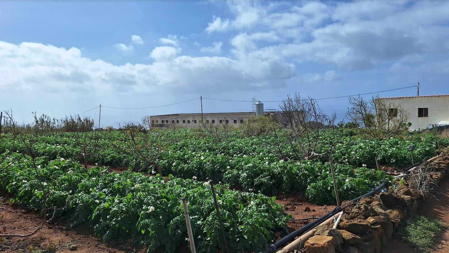 Se vende casa con finca con invernaderos en producción en Ta - foto 4