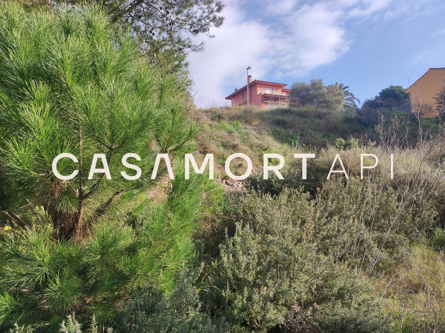 Parcela Edificable al Camp dels Pilans - foto 5