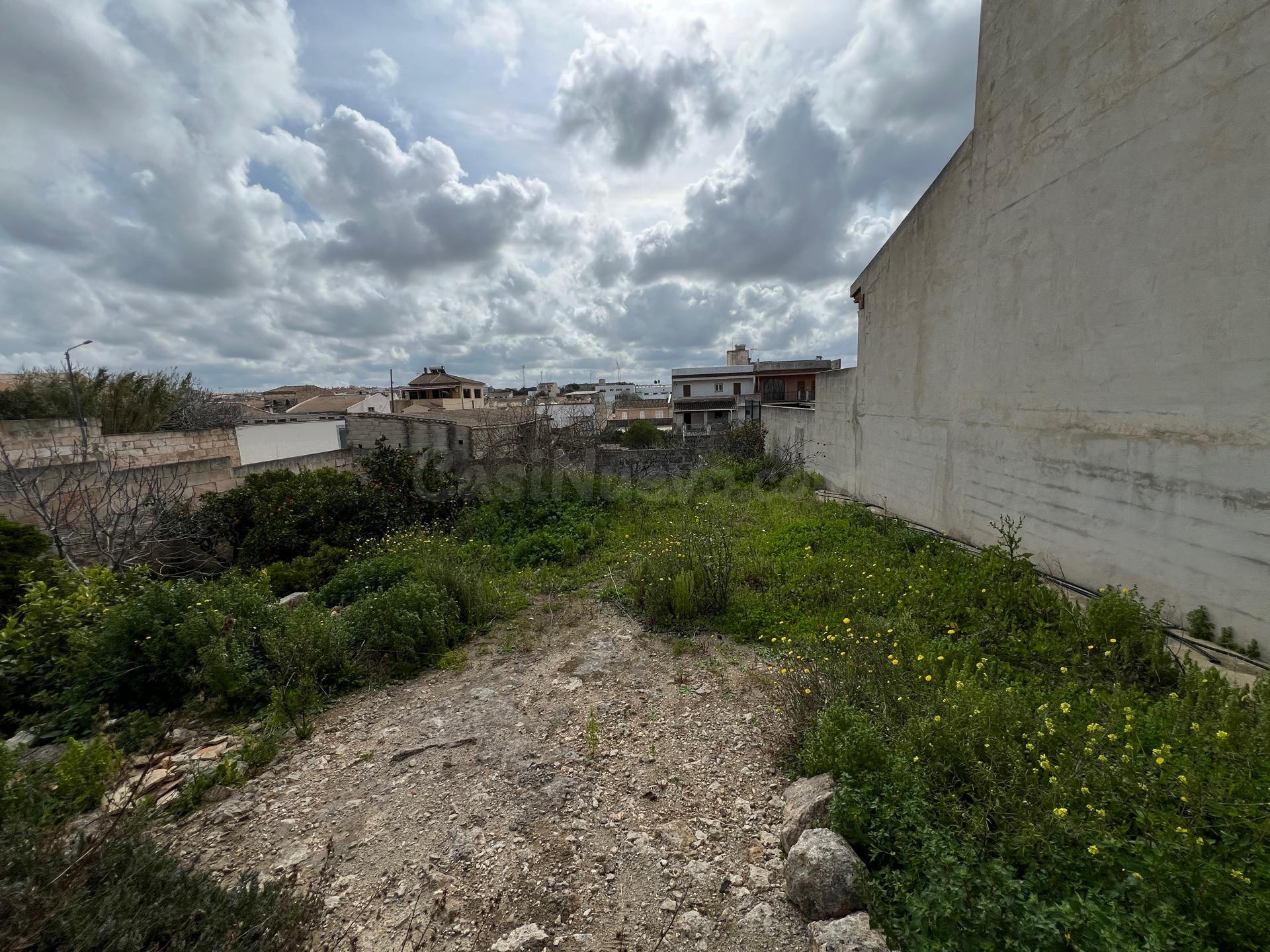 Amplia Parcela con Potencial de Construcción en Muro - foto 2