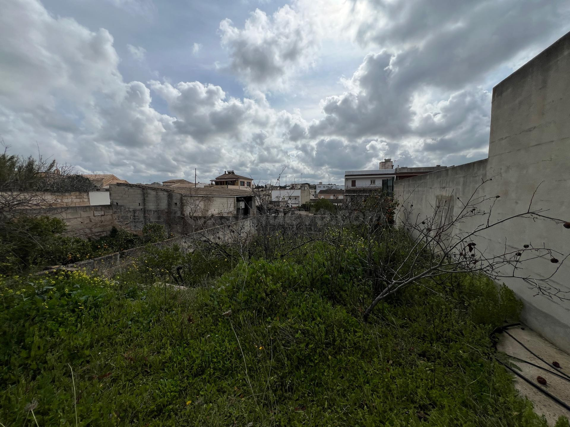 Amplia Parcela con Potencial de Construcción en Muro - foto 3