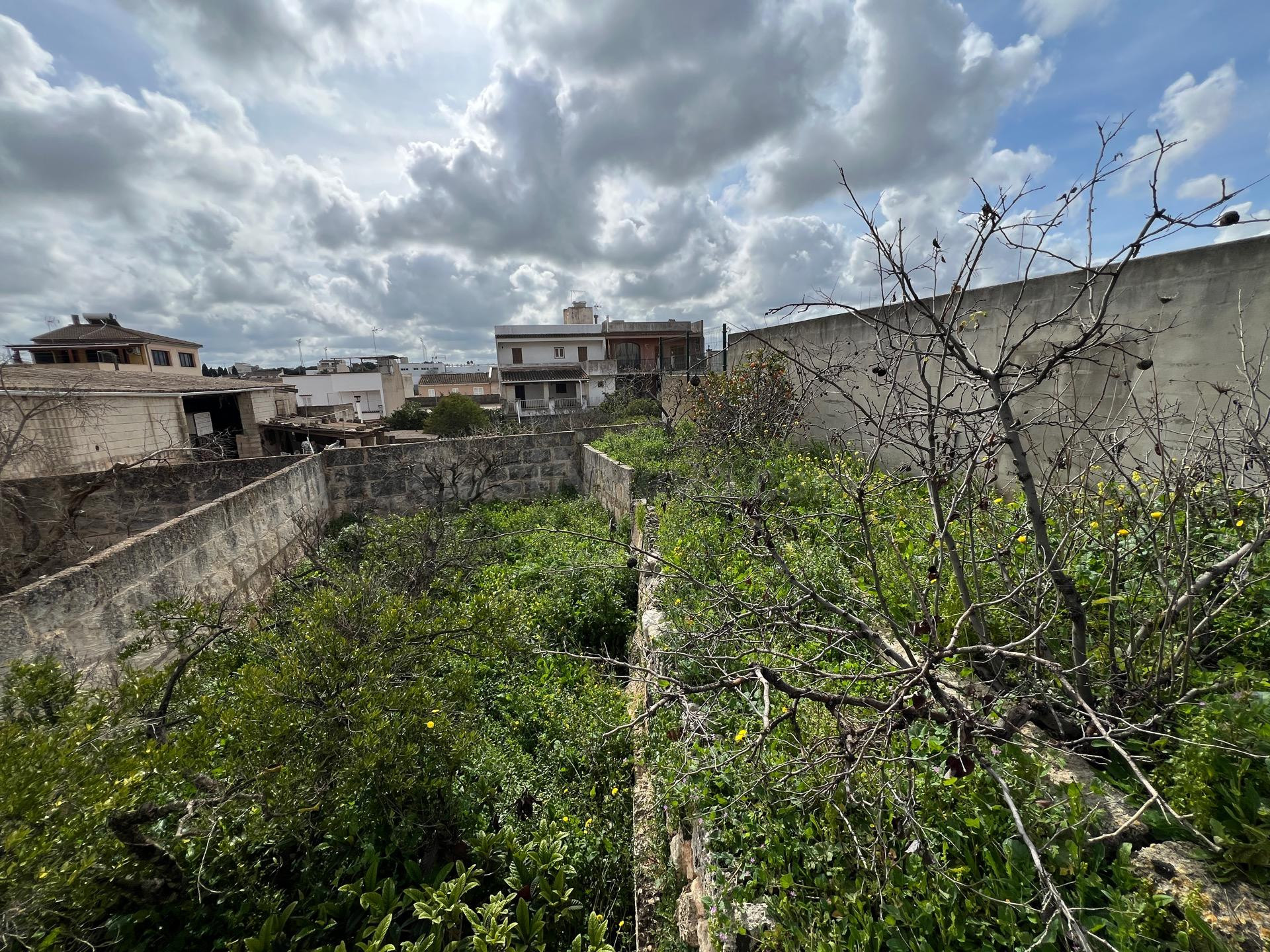 Amplia Parcela con Potencial de Construcción en Muro - foto 4