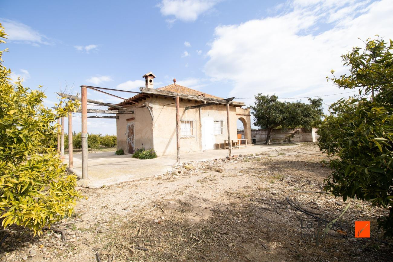 GRAN FINCA RUSTICA CON CASA EN VENTA EN SANTA BARBARA (TARRA - foto 5