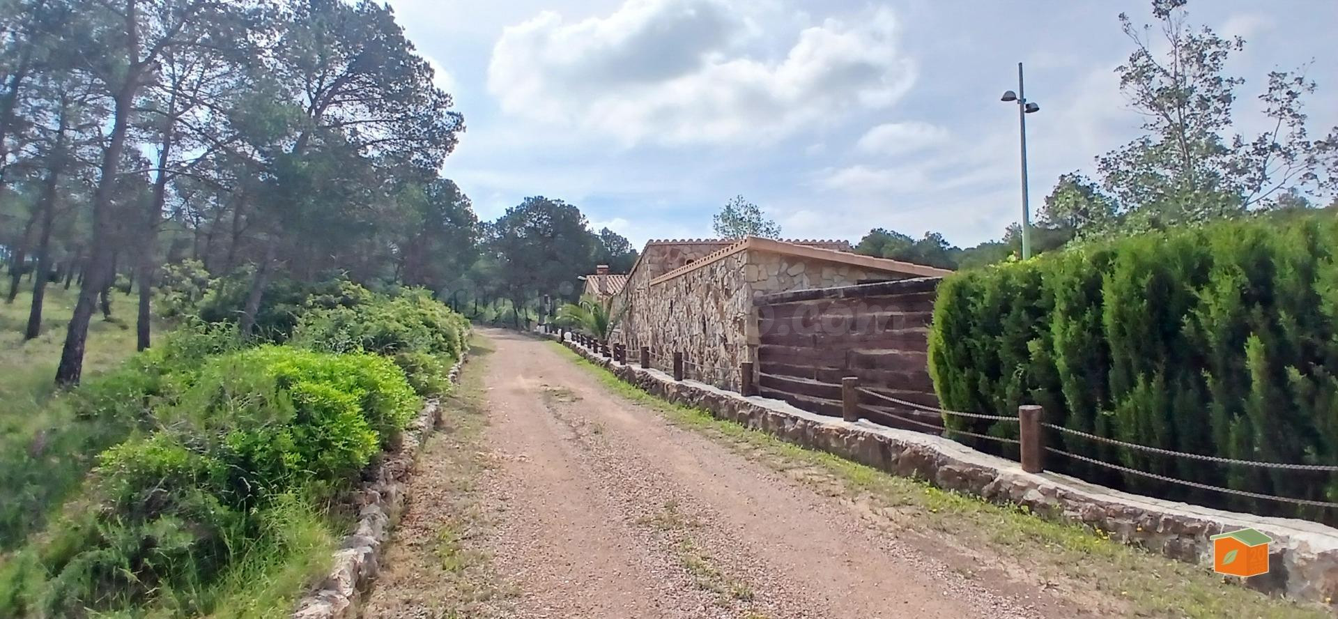 FINCA RUSTICA CON CASA DE PIEDRA EN PLANTA BAJA EN VENTA EN  - foto 2