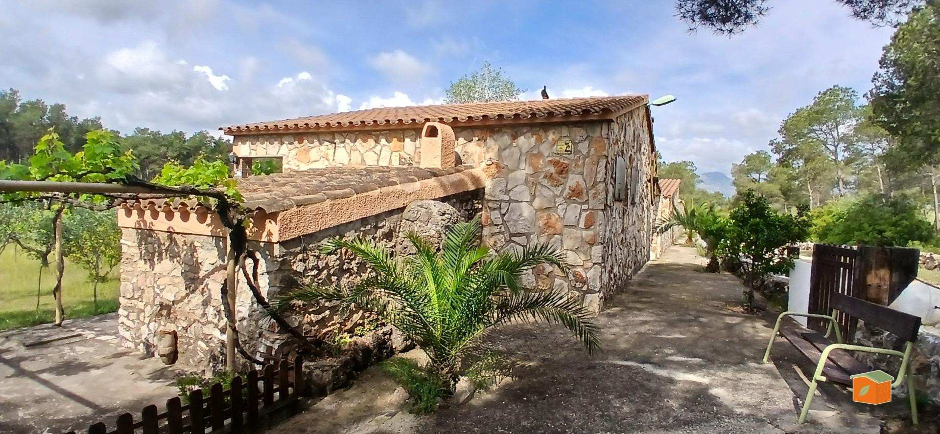FINCA RUSTICA CON CASA DE PIEDRA EN PLANTA BAJA EN VENTA EN  - foto 3