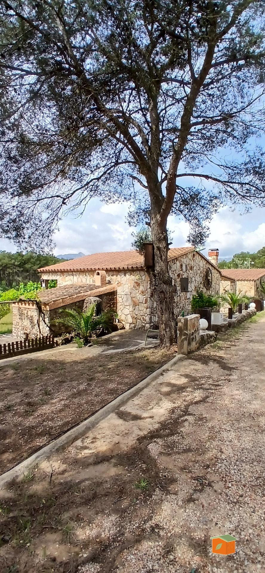 FINCA RUSTICA CON CASA DE PIEDRA EN PLANTA BAJA EN VENTA EN  - foto 4