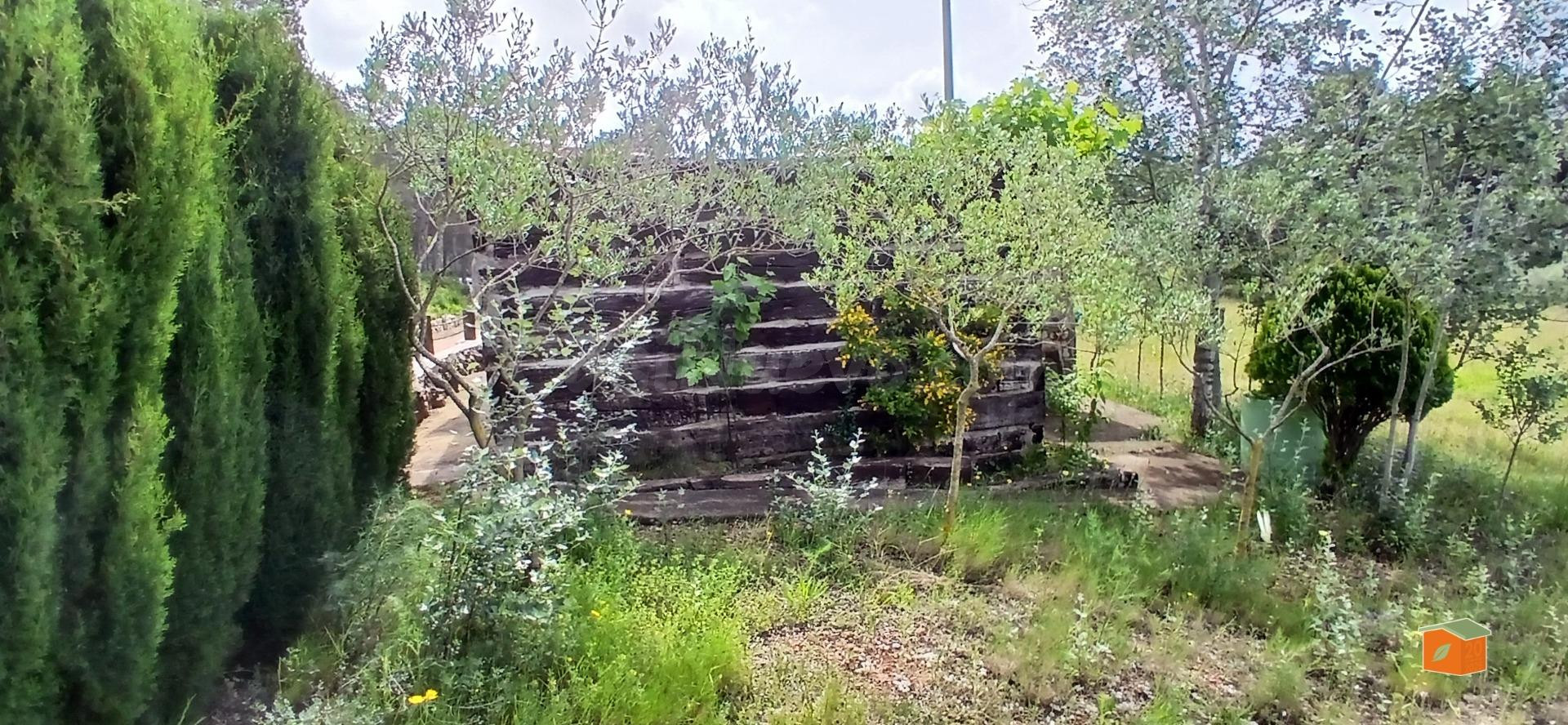 FINCA RUSTICA CON CASA DE PIEDRA EN PLANTA BAJA EN VENTA EN  - foto 5