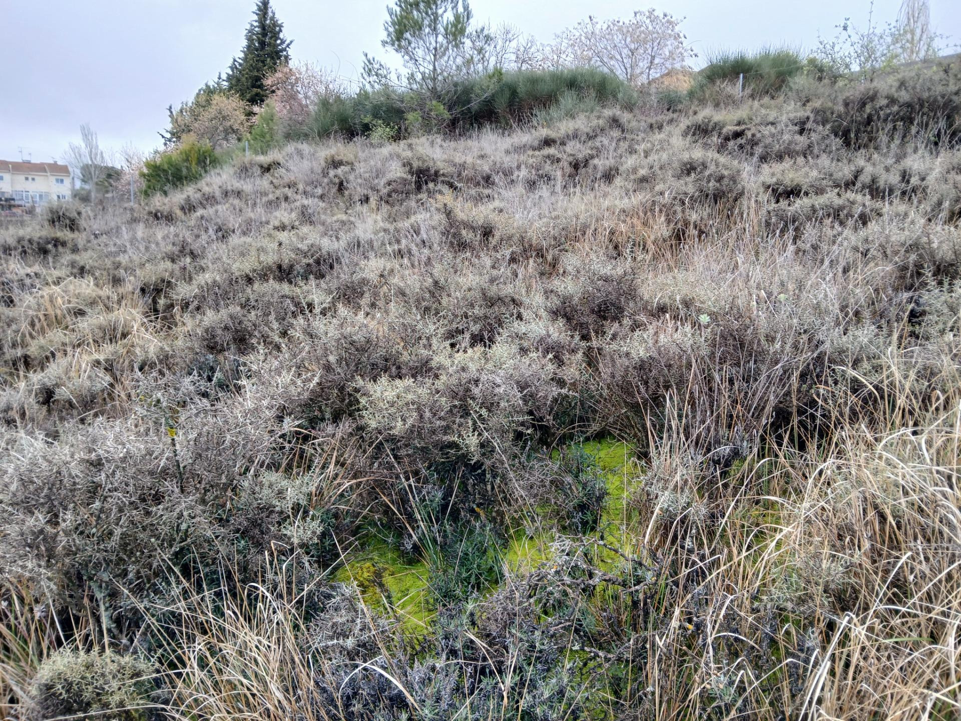parcela urbana en el Mirador del Cid - foto 2