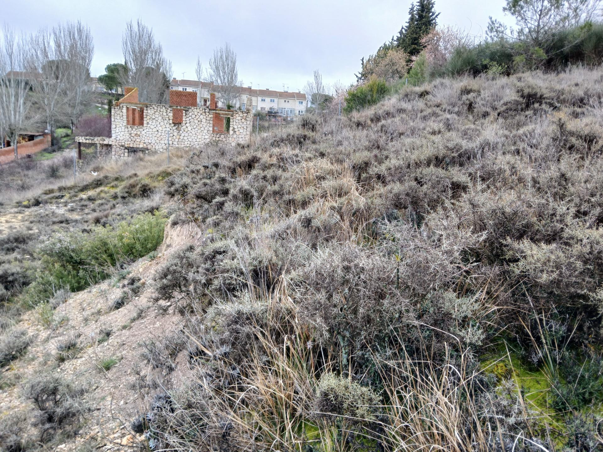 parcela urbana en el Mirador del Cid - foto 3