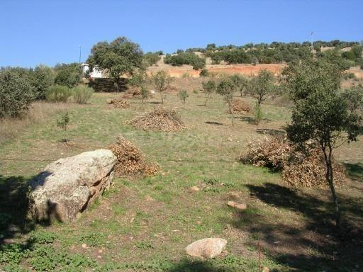 Terreno para construir, en una bonita urbanización de Navahe - foto 3
