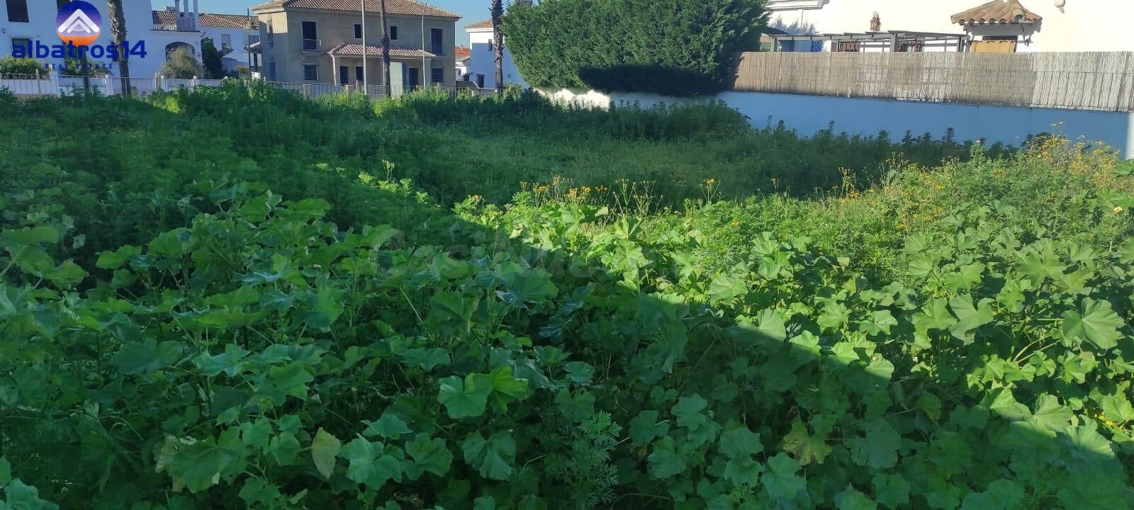 Solar en venta en Cartaya - foto 5