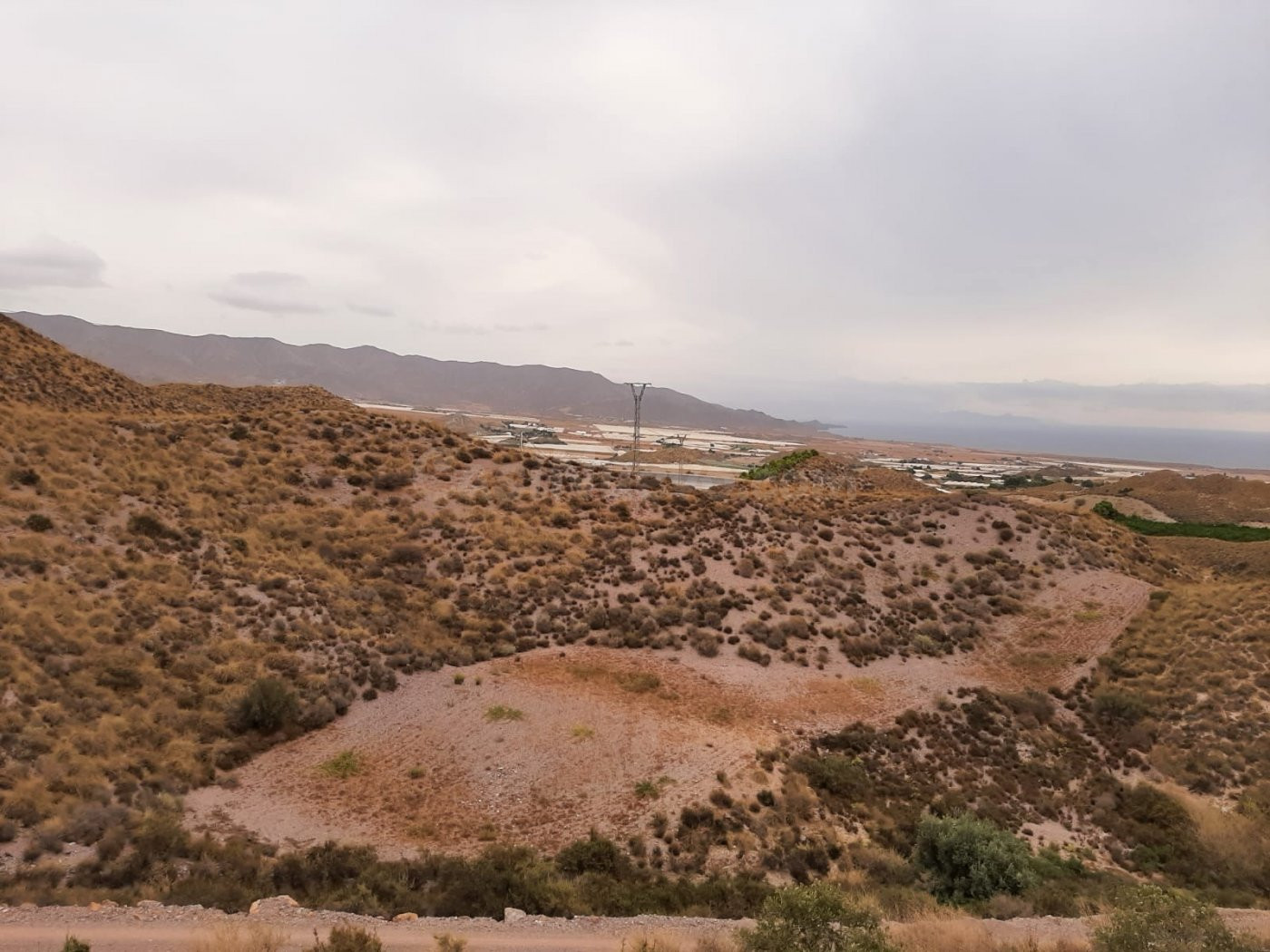 FANTÁSTICA FINCA AGRARIA EN CABO COPE