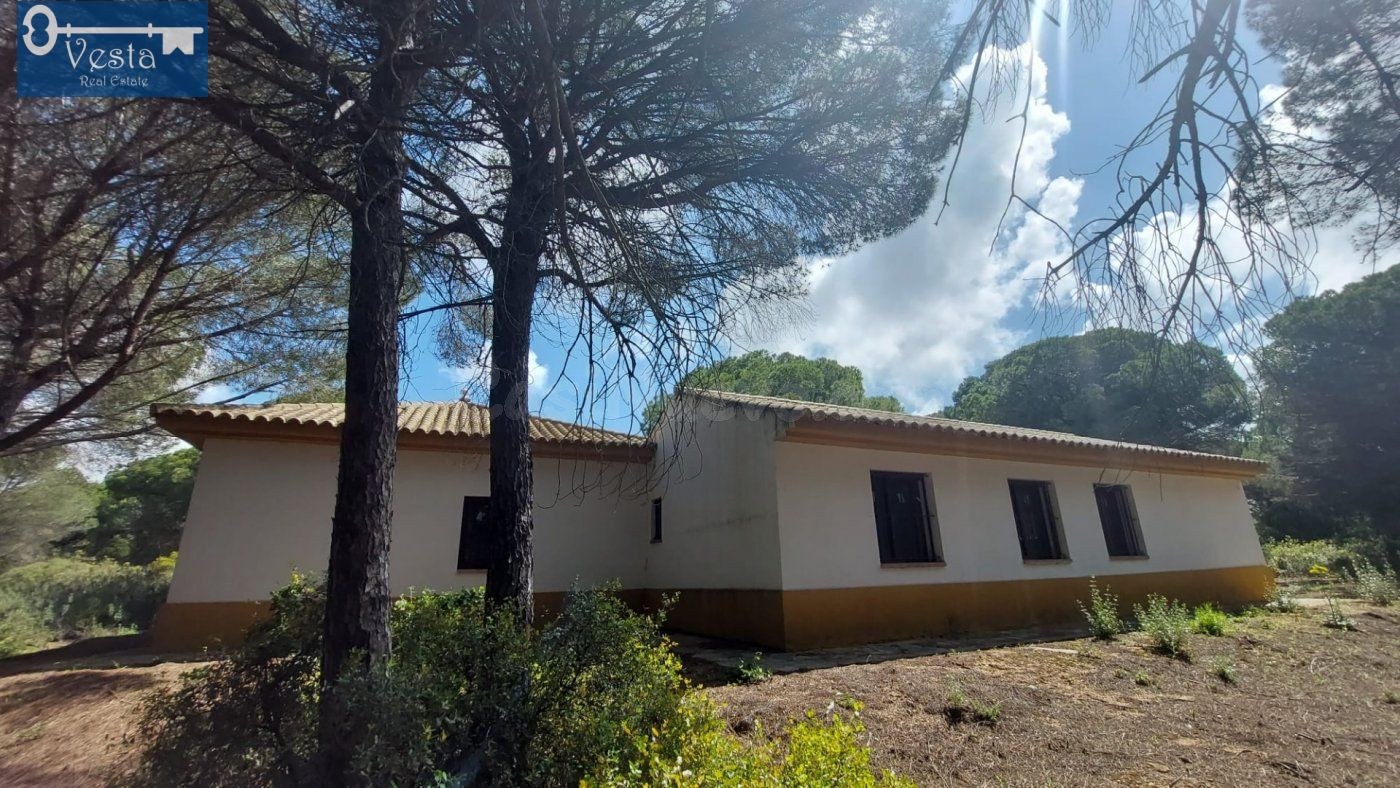 GRAN FINCA EN PUERTO REAL - foto 4