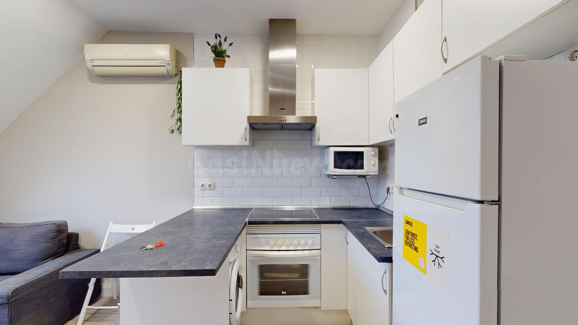 SERVICHECK ALQUILA ATICO DE 1 habitación EN CIUDAD LINEAL - foto 4