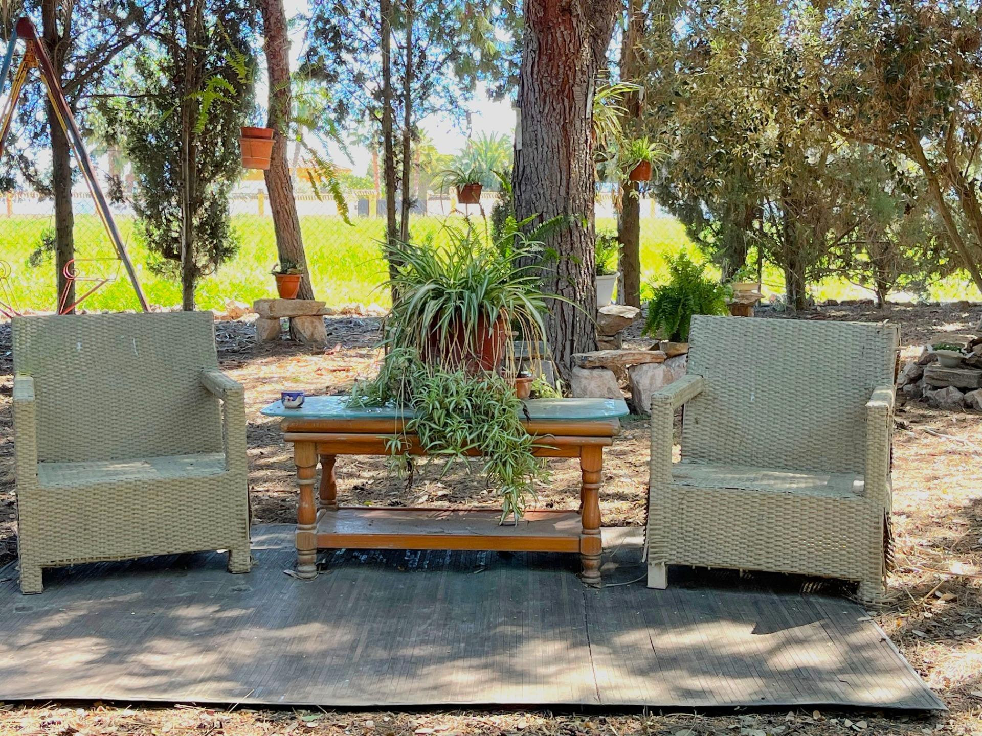 Celebra tu día especial en nuestra finca en alquiler - FINCA EXCLUSIVA PARA EVENTOS