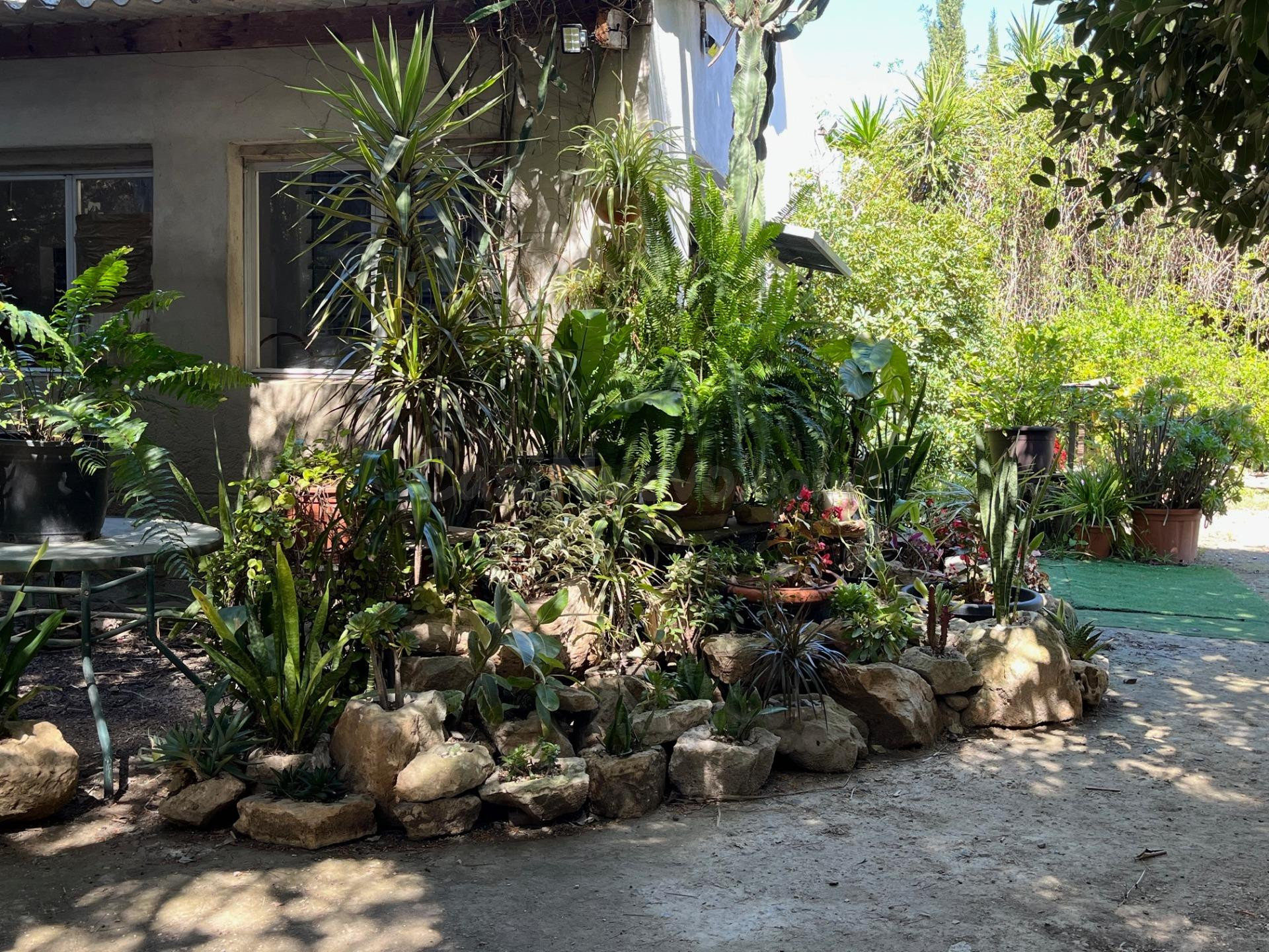 Celebra tu día especial en nuestra finca en alquiler - FINCA - foto 4