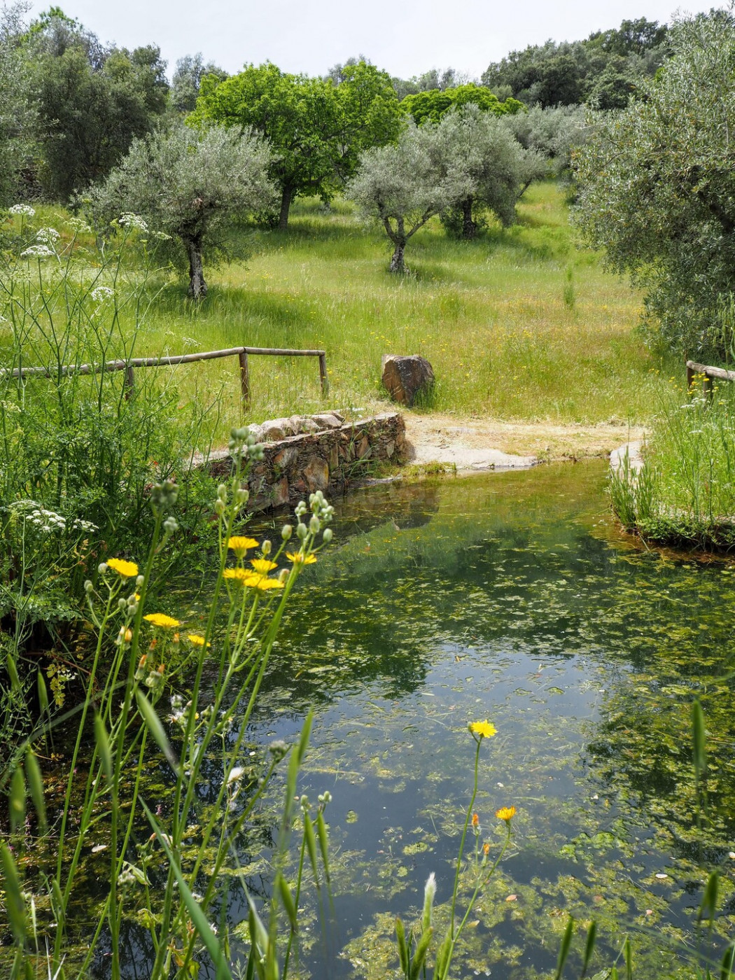 CASA DE CAMPO EN VENTA EN MADROÑERA - CÁCERES - foto 5