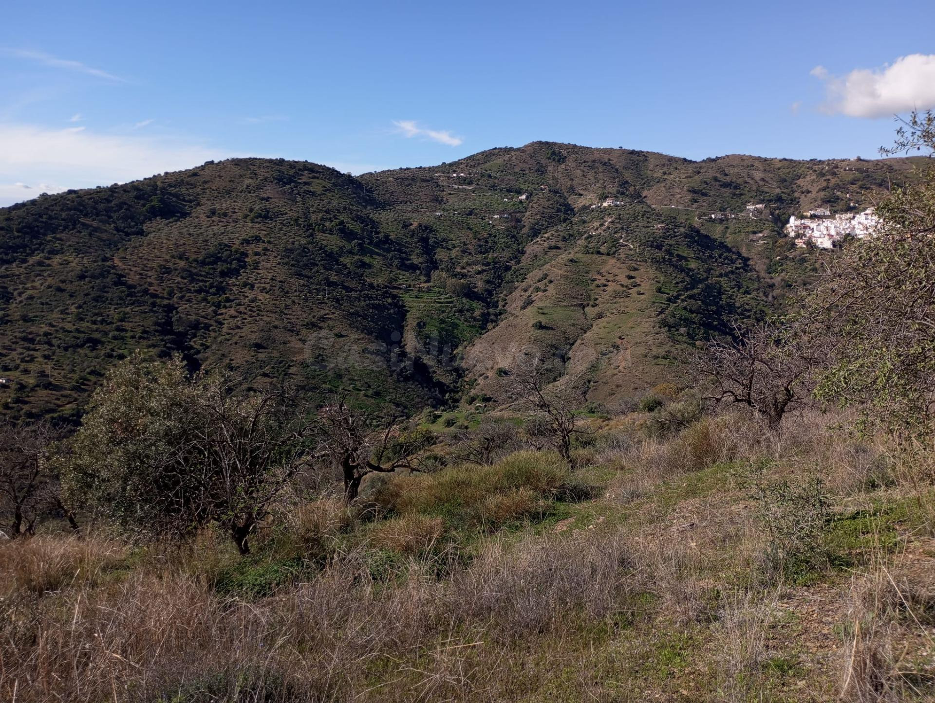 Terreno Rústico con Vistas Espectaculares en Totalán – Gran Superficie, Papeles en Regla y Solo 28.000 €