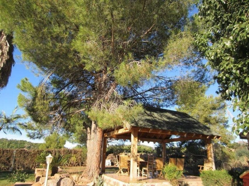 Casa independiente en Monasterios - foto 3