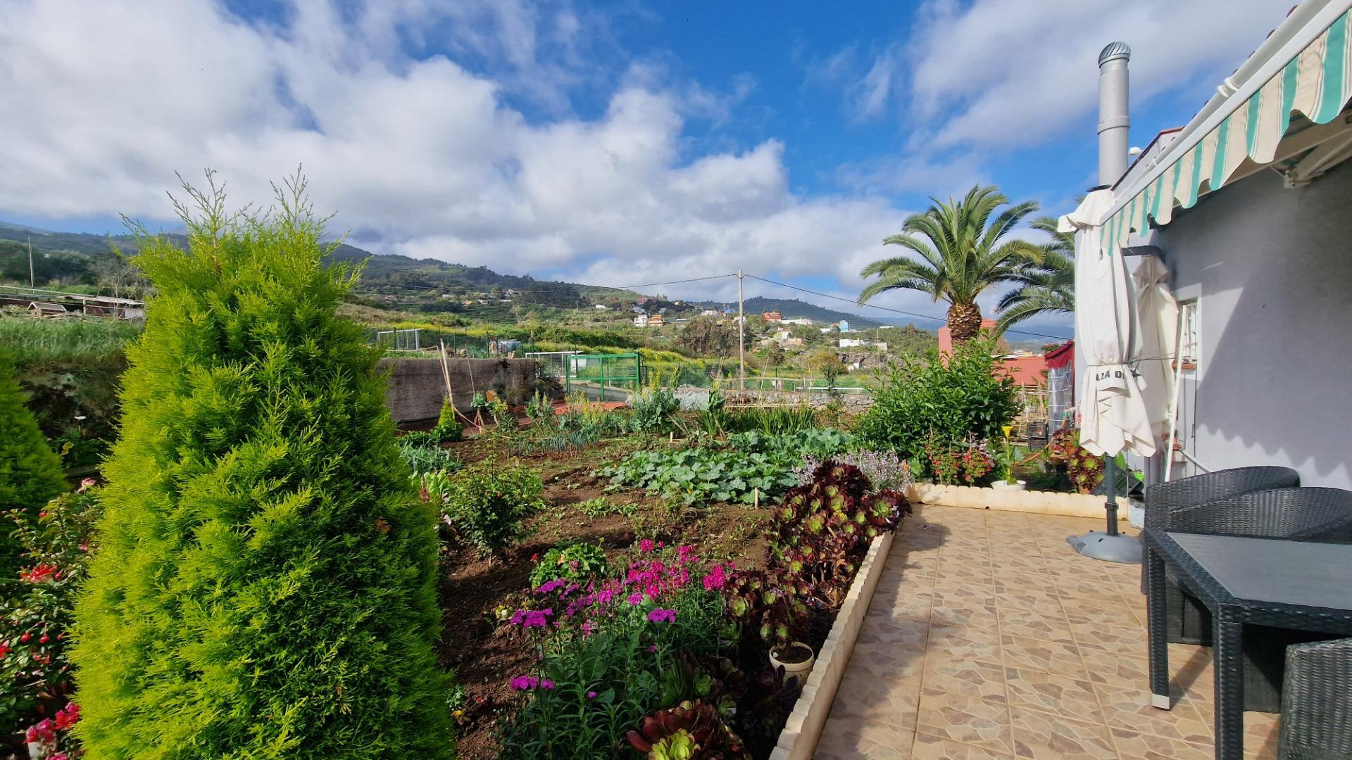 Casa con precioso terreno de cultivo, varias terrazas, garaj - foto 2
