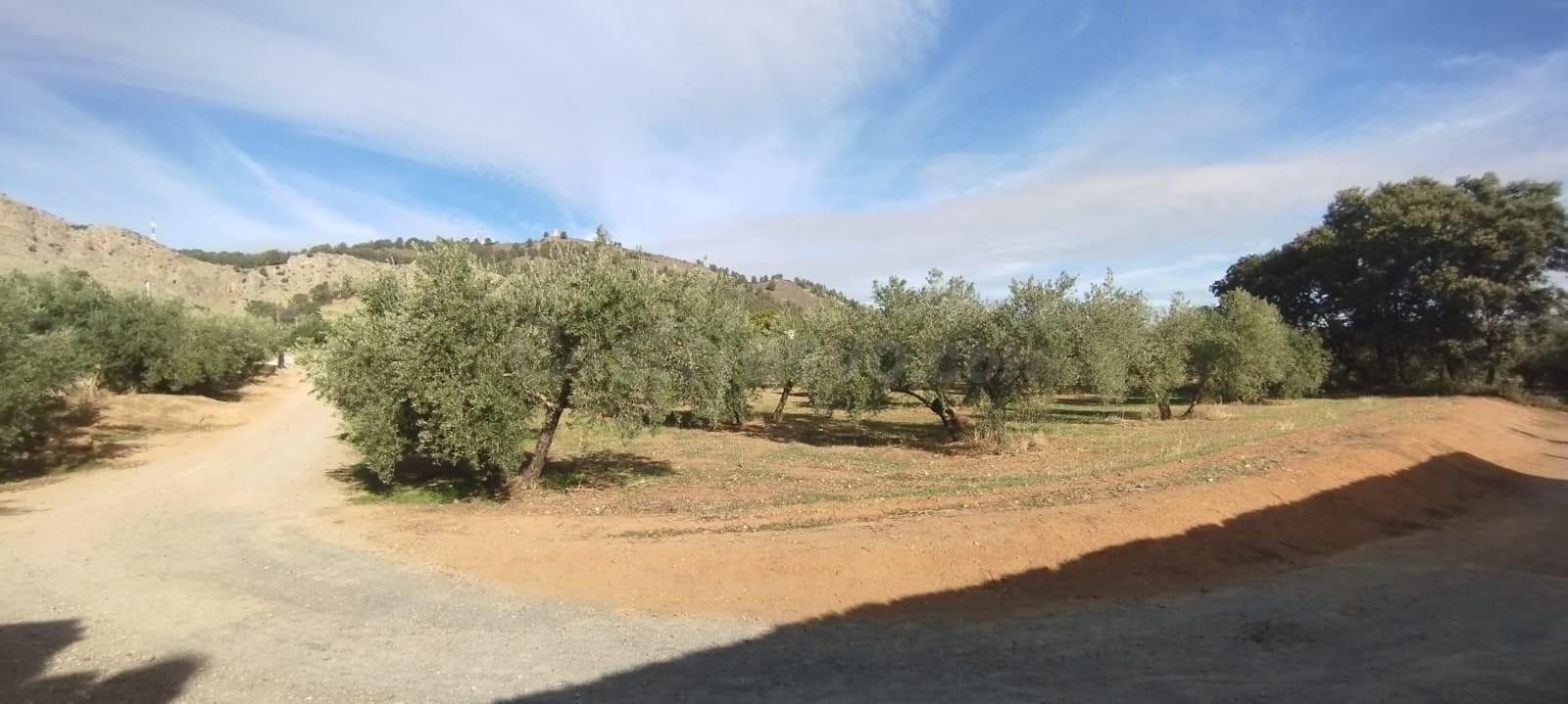🌿 Oportunidad Suelo Rústico de 8.700 m2 en Albolote 🌿