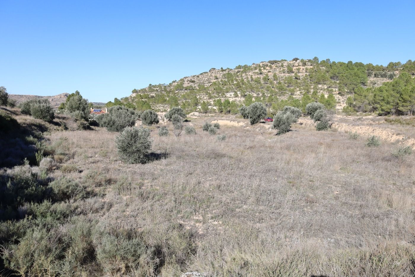 Se vende Terreno próximo a la Carretera de Castelserás - Alc
