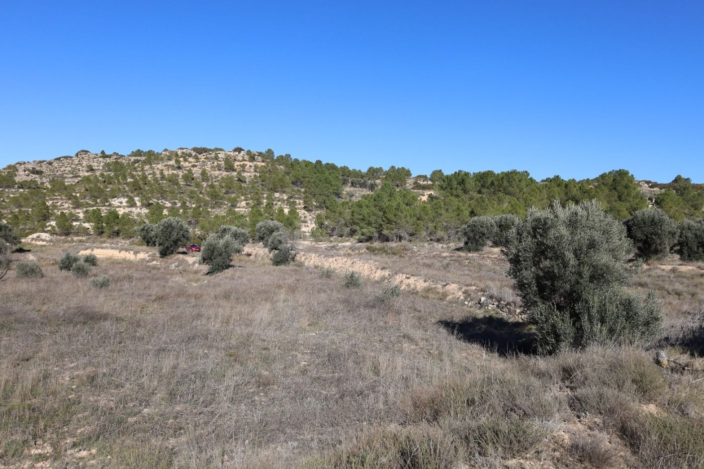Se vende Terreno próximo a la Carretera de Castelserás - Alc - foto 2