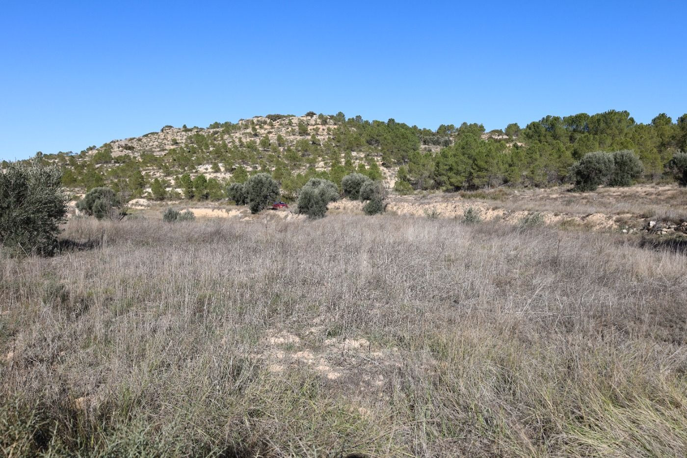Se vende Terreno próximo a la Carretera de Castelserás - Alc - foto 3