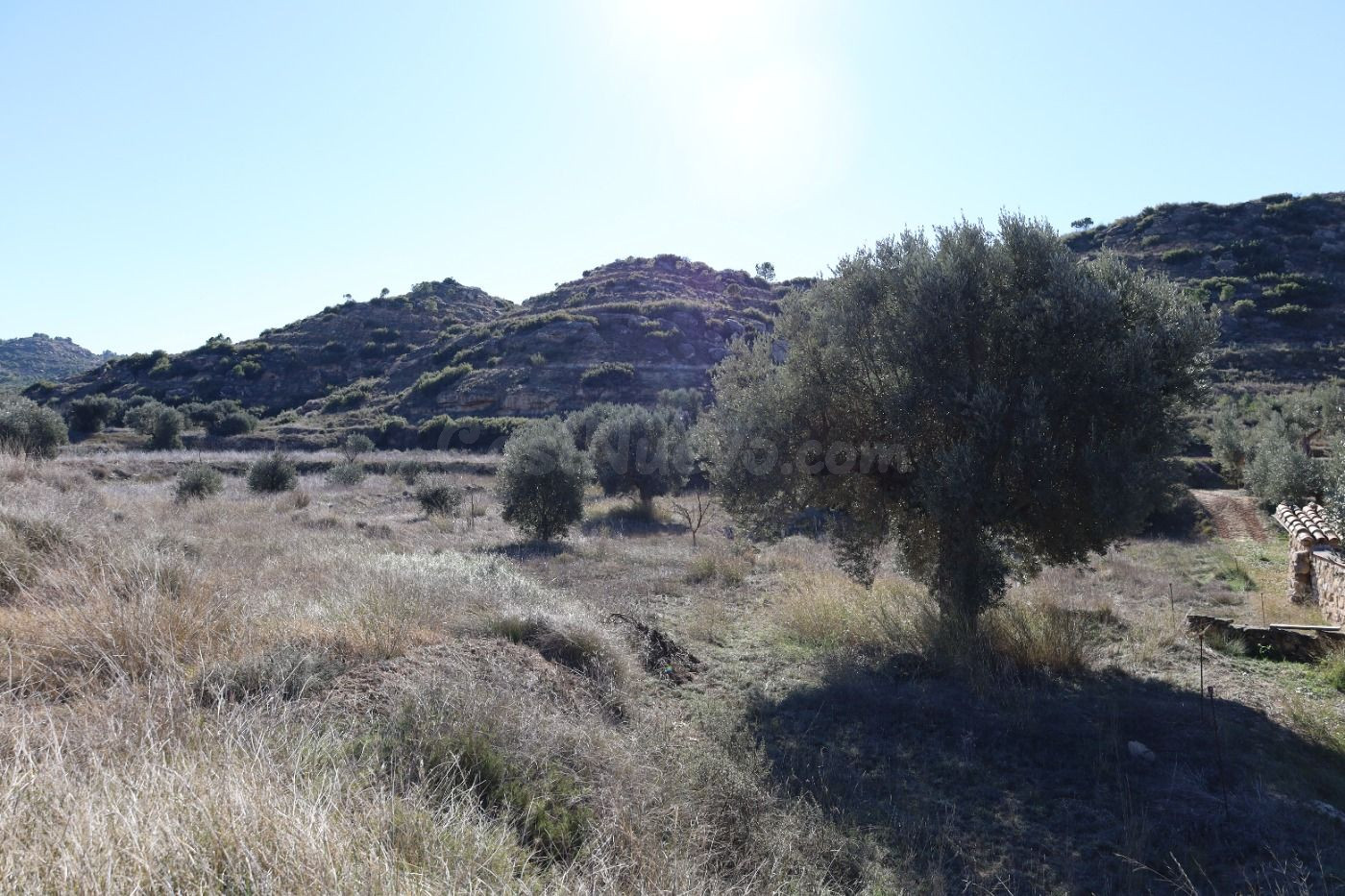 Se vende Terreno próximo a la Carretera de Castelserás - Alc - foto 5