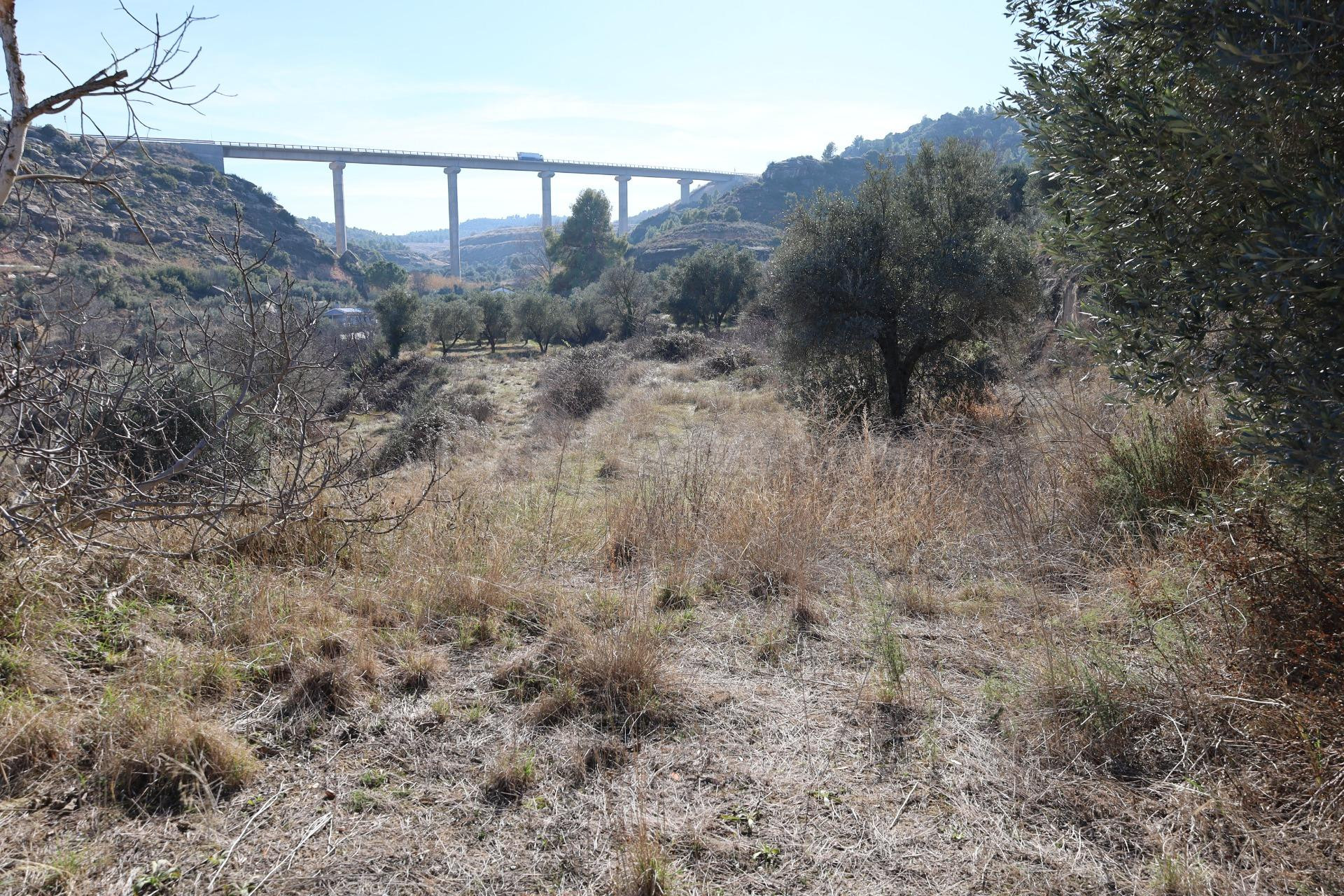 TERRENO EN VENTA EN ALCAÑIZ. Ref TR08102023 - foto 2