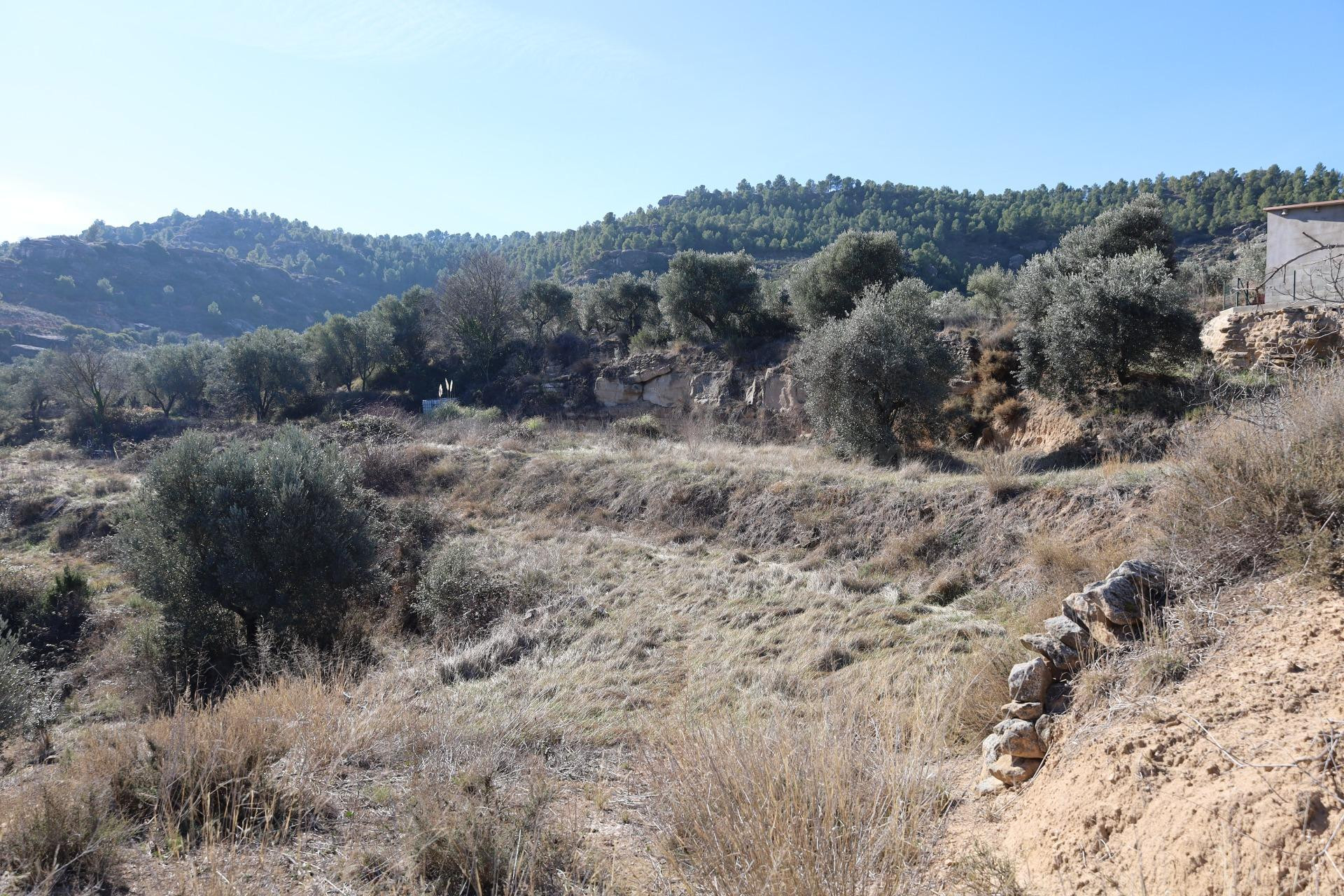 TERRENO EN VENTA EN ALCAÑIZ. Ref TR08102023 - foto 4