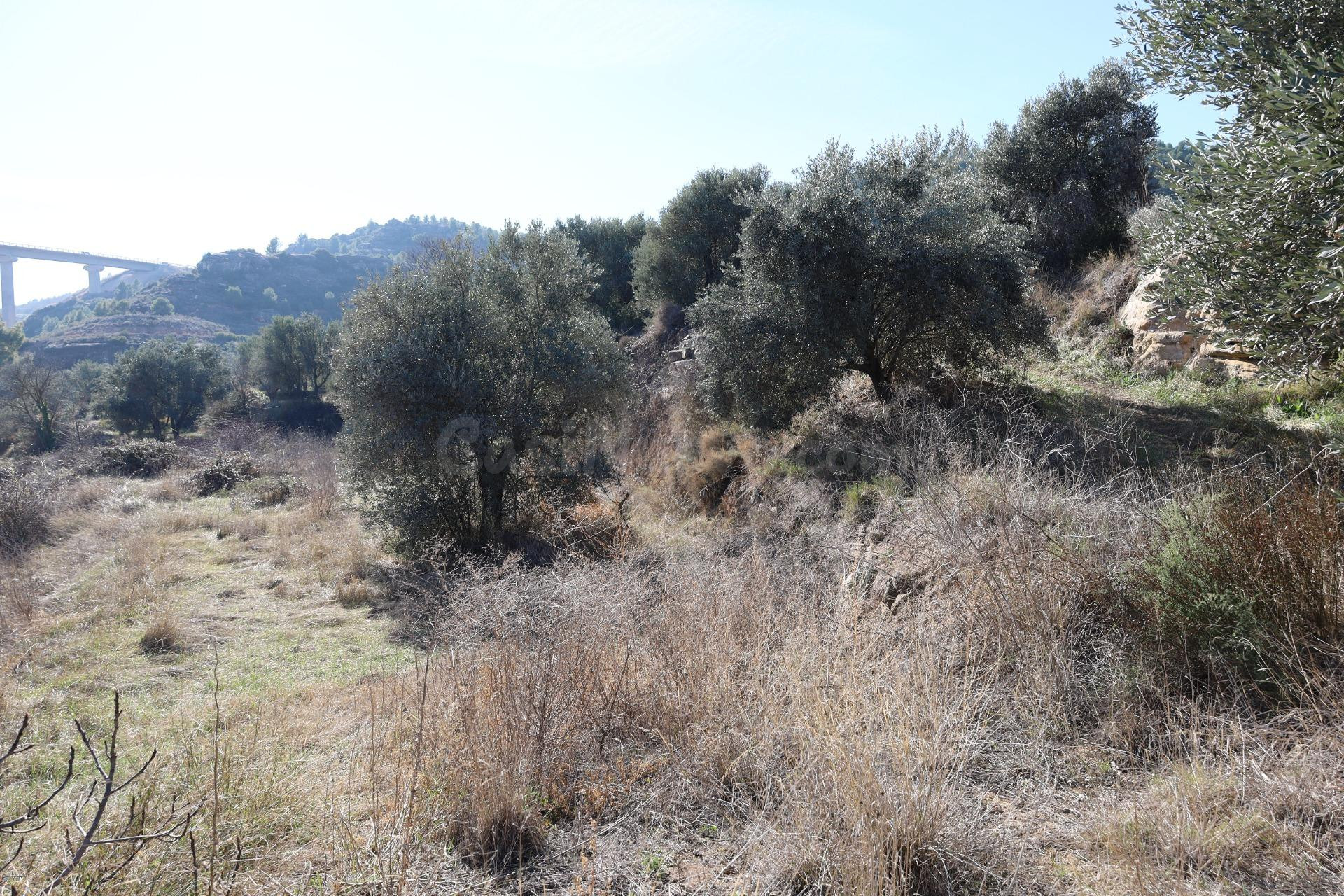 TERRENO EN VENTA EN ALCAÑIZ. Ref TR08102023 - foto 5