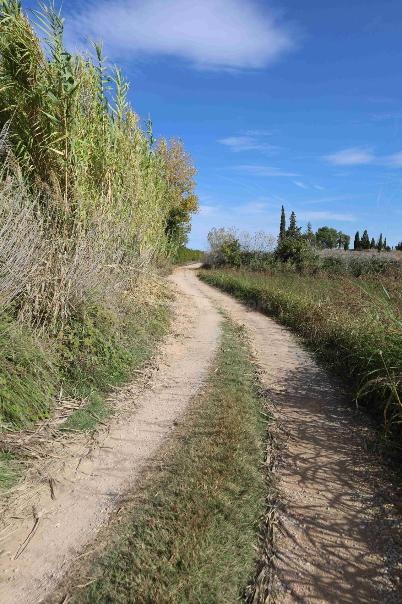 TERRENO EN VENTA EN ALCAÑIZ. Ref.TR10202025 - foto 2