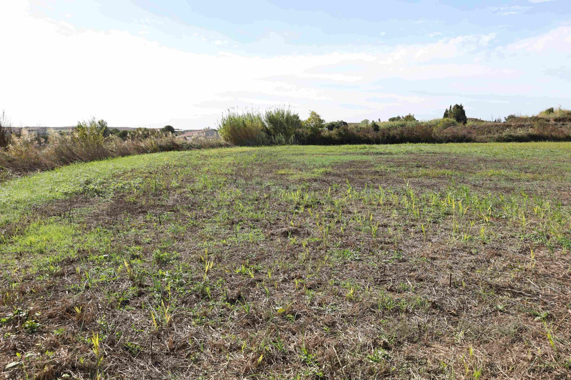TERRENO EN VENTA EN ALCAÑIZ. Ref.TR10202025 - foto 3
