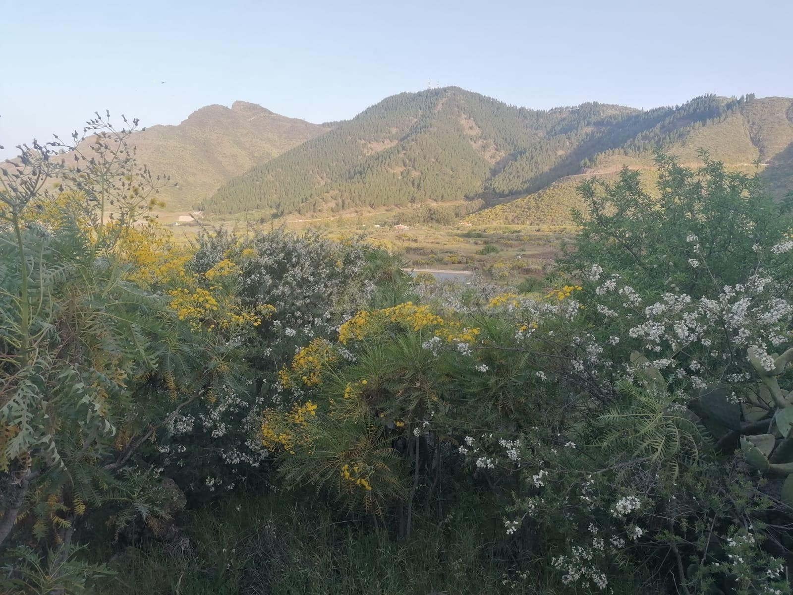¡Oportunidad única! Terreno rústico de 2175m2  en venta en V - foto 3