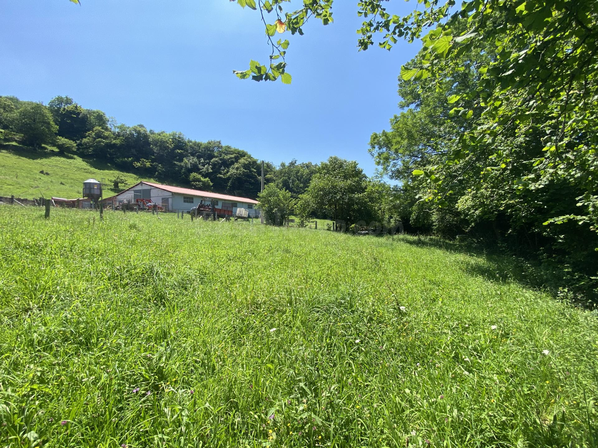 VENTA DE FINCA EN LLENIN - foto 2