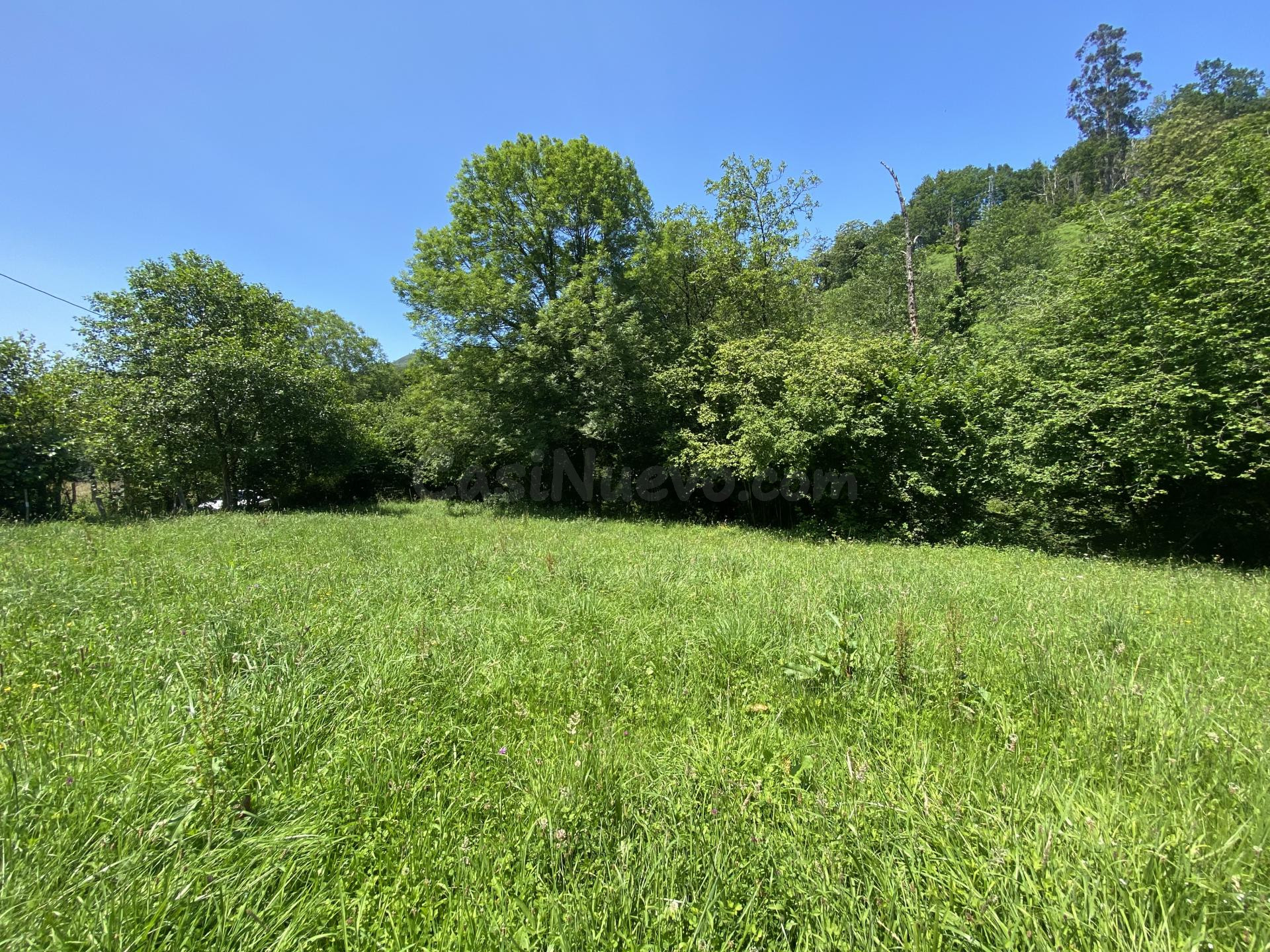 VENTA DE FINCA EN LLENIN - foto 4
