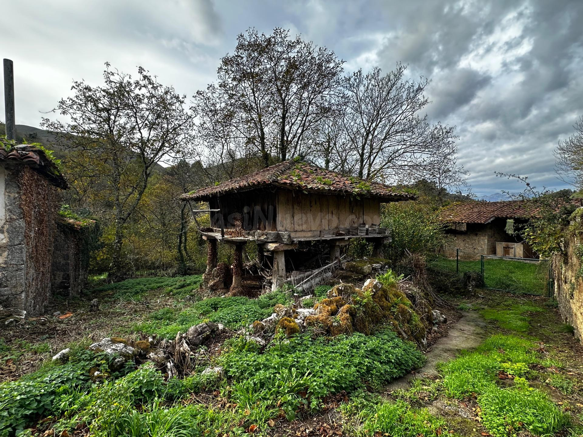 CASA ASTURIANA A 4 KM DE CANGAS DE ONIS - foto 3