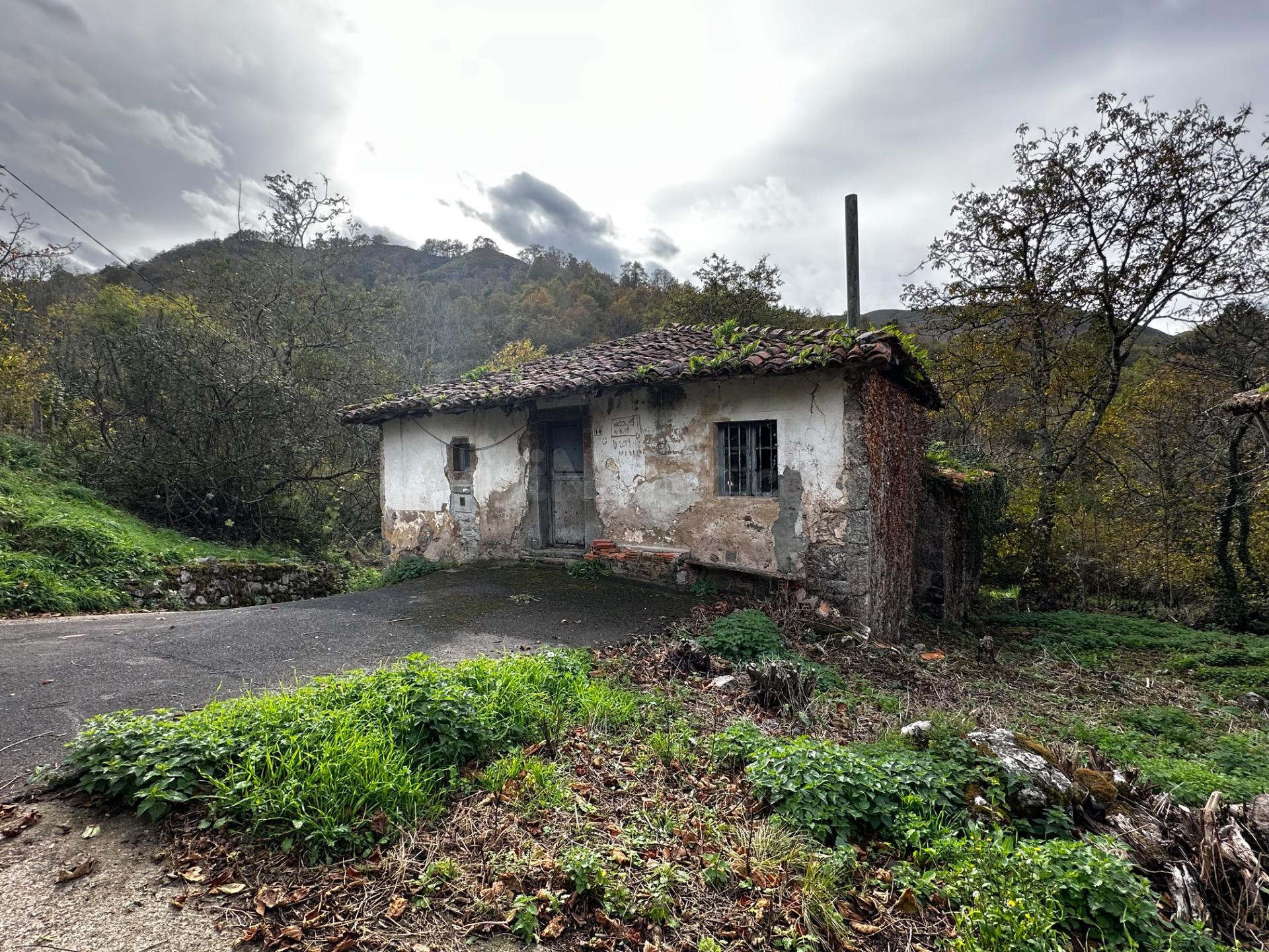 CASA ASTURIANA A 4 KM DE CANGAS DE ONIS - foto 4