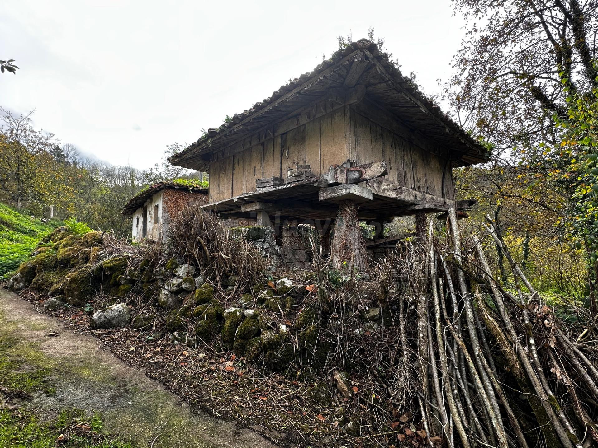 CASA ASTURIANA A 4 KM DE CANGAS DE ONIS - foto 5