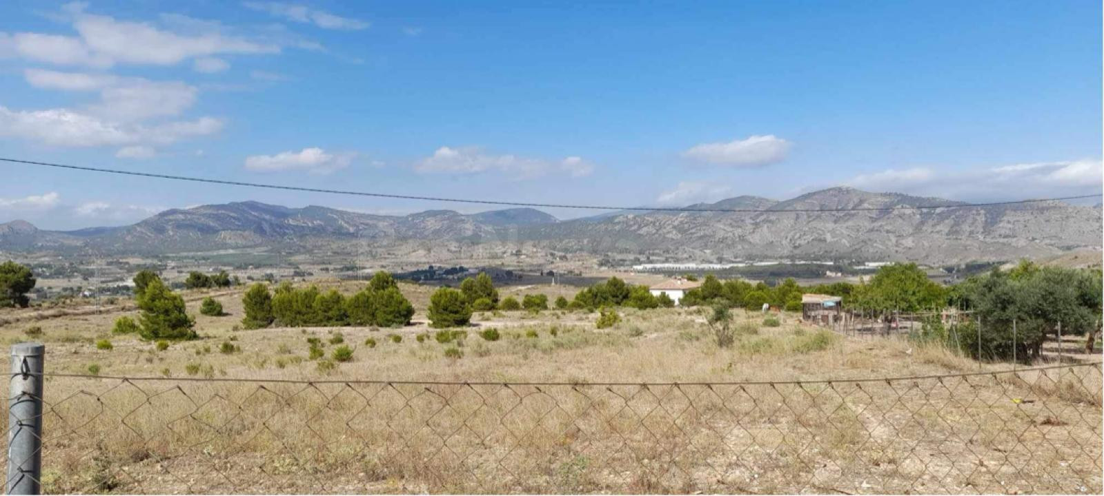 TERRENO RÚSTICO DE 40.000 M2 DE PARCELA EN CAMARA CON AGUA EN ELDA