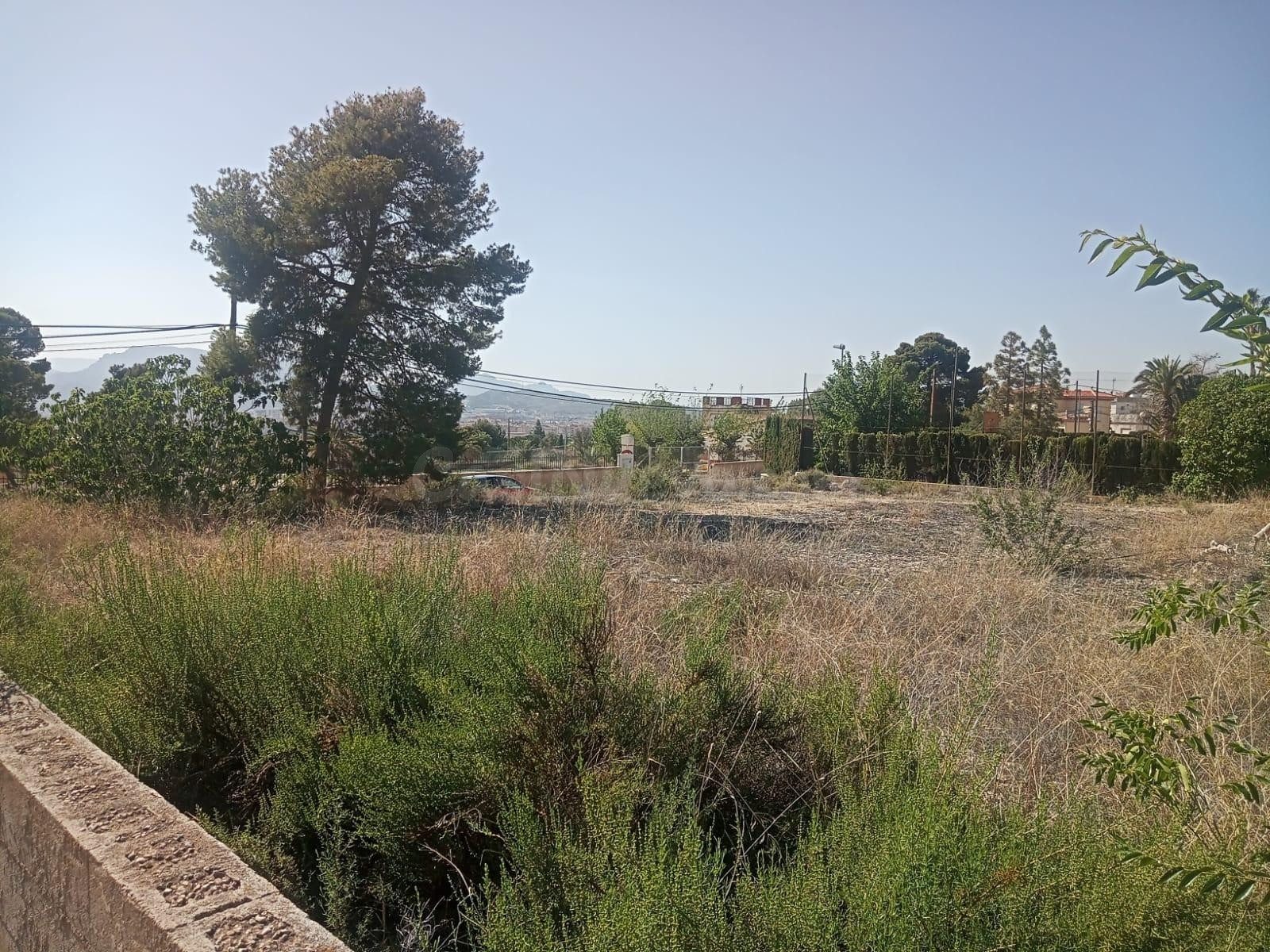 SE VENDEN PARCELAS EN PETRER ( ZONA DE SALINETAS) 840 M2 CADA UNA