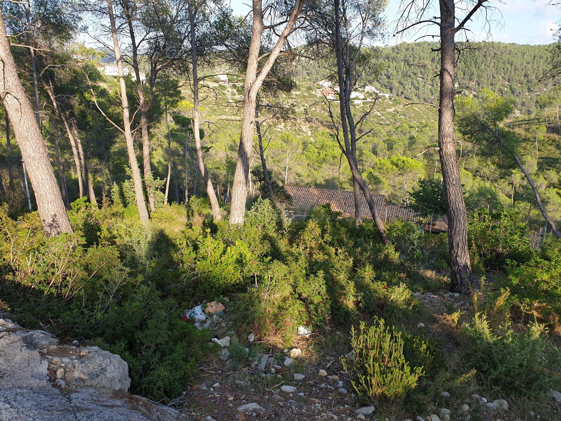Terreno urbano situado en la Urbanización Las Colinas de Olivella.