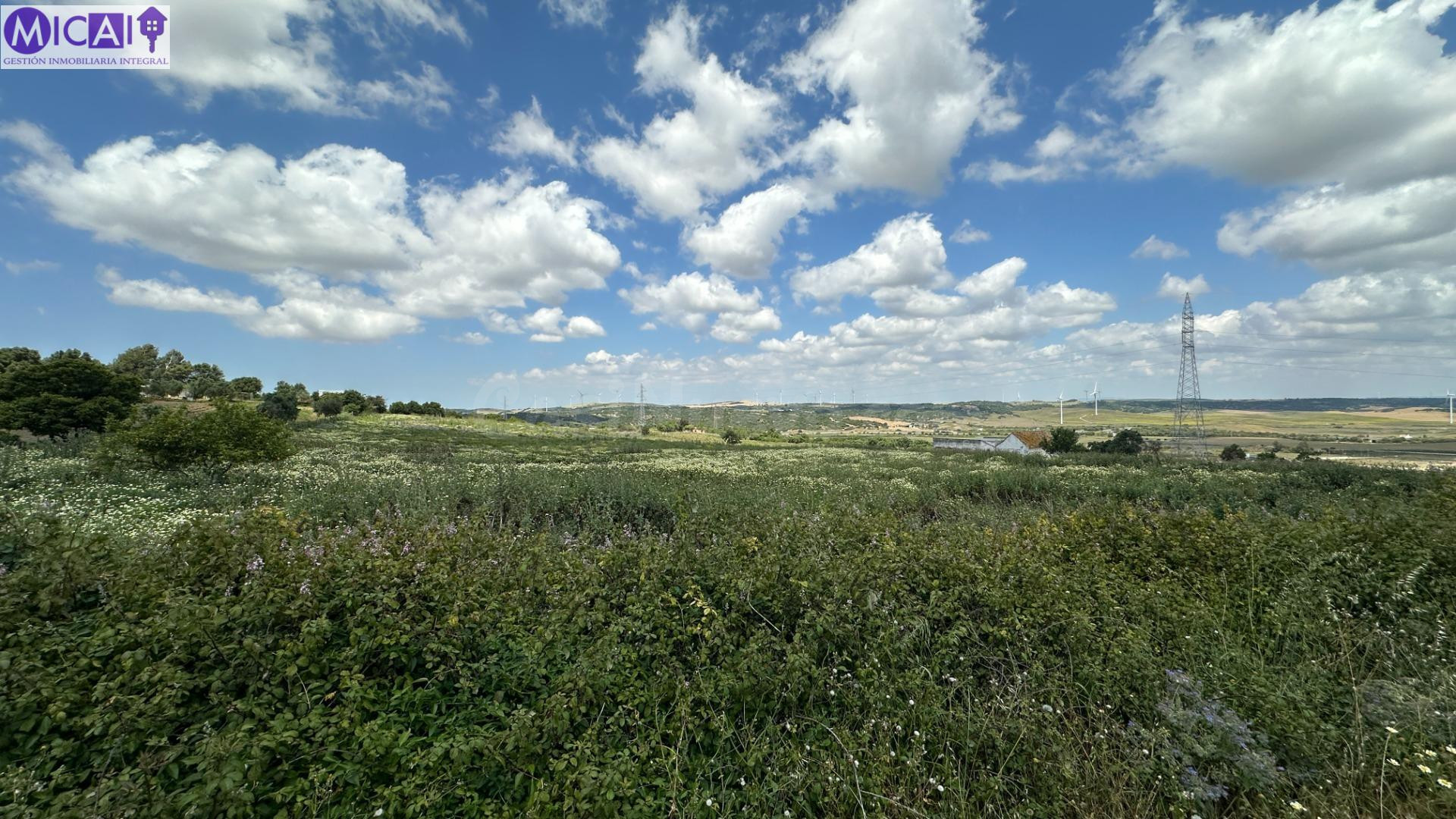 En venta 4 hectáreas sin construcción en el Pago de la Guantera (Medina Sidonia)
