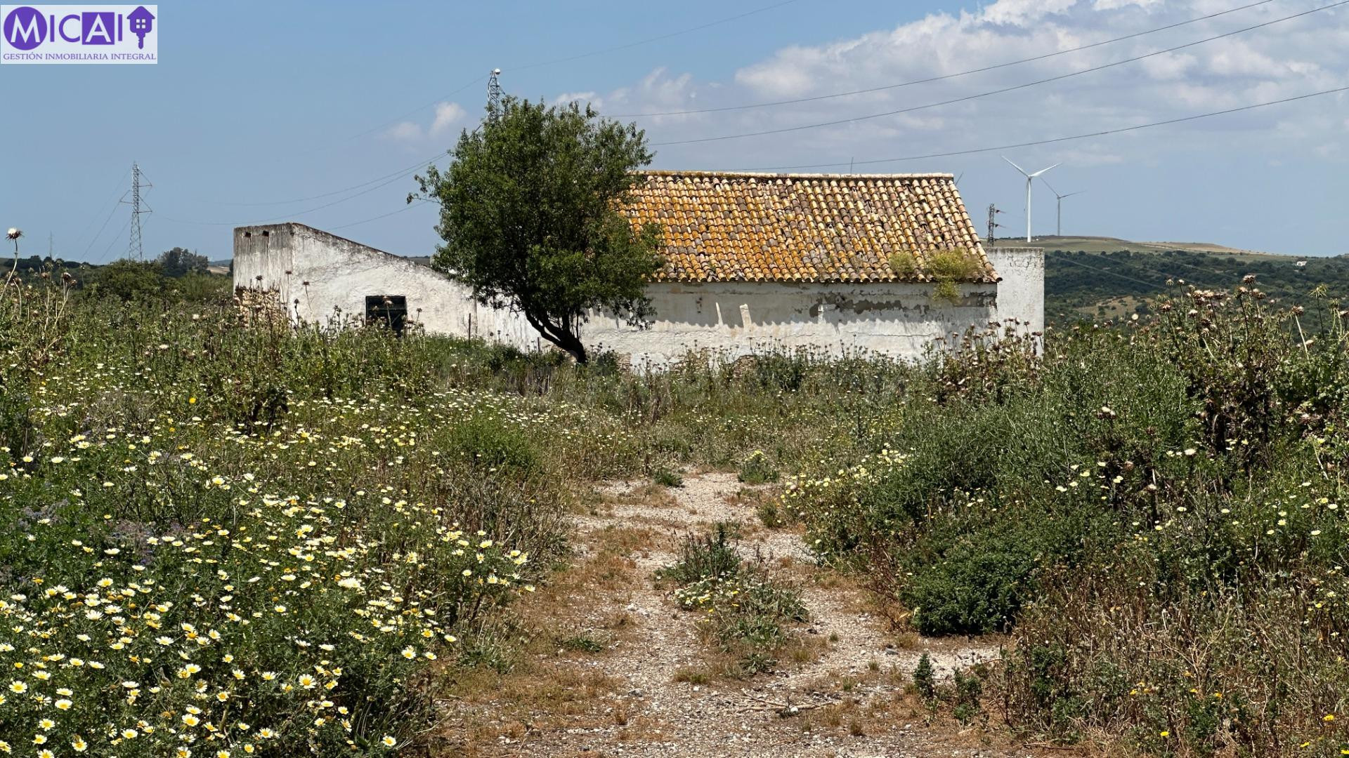 En venta: 3 hectareas con casa y nave en el Pago de la Guantera (Medina Sidonia)